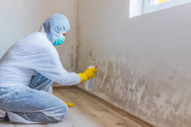 Licensed Hvac And Air Duct Mold Remediation service in Jersey City, NJ - Car Mold Remediation
